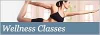 Wellness Classes